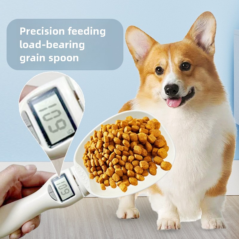 Digitale Messlöffelwaage für T – Portion Scale Digital Bewertung und Preis