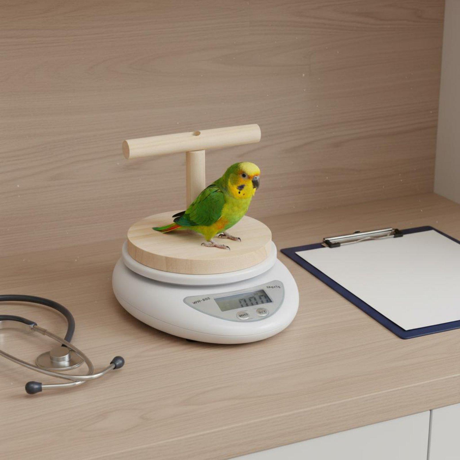 Präzise Avian Scale Holz-T-Bar – Portion Scale Digital Bewertung und Preis